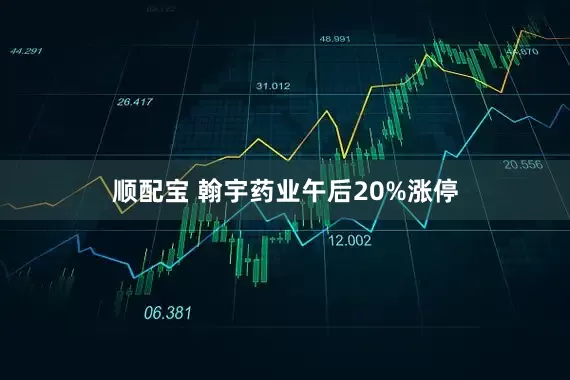 顺配宝 翰宇药业午后20%涨停