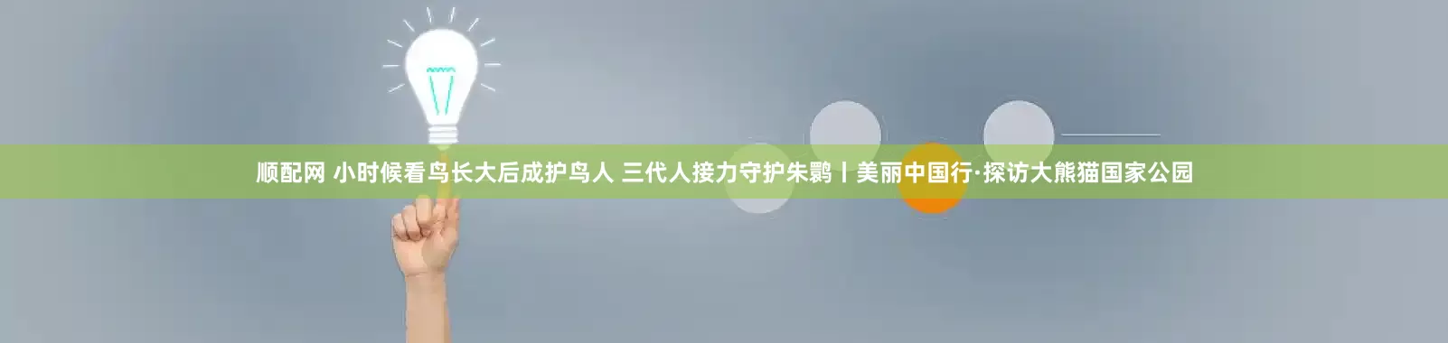顺配网 小时候看鸟长大后成护鸟人 三代人接力守护朱鹮丨美丽中国行·探访大熊猫国家公园