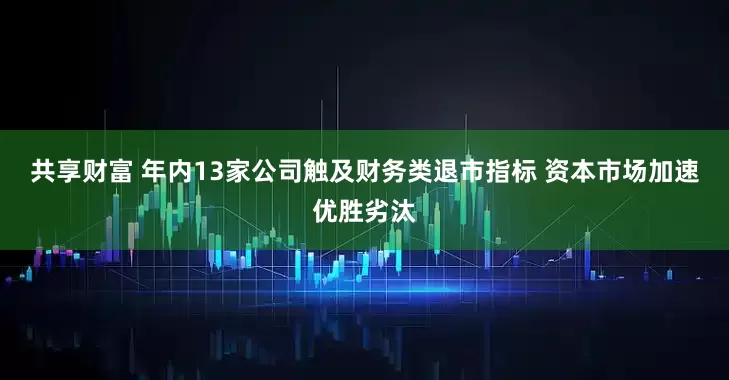 共享财富 年内13家公司触及财务类退市指标 资本市场加速优胜劣汰
